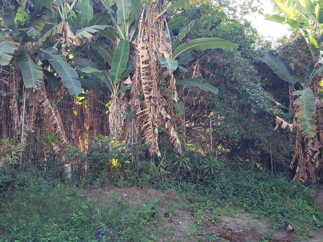 Venda em Camboinhas - Niterói