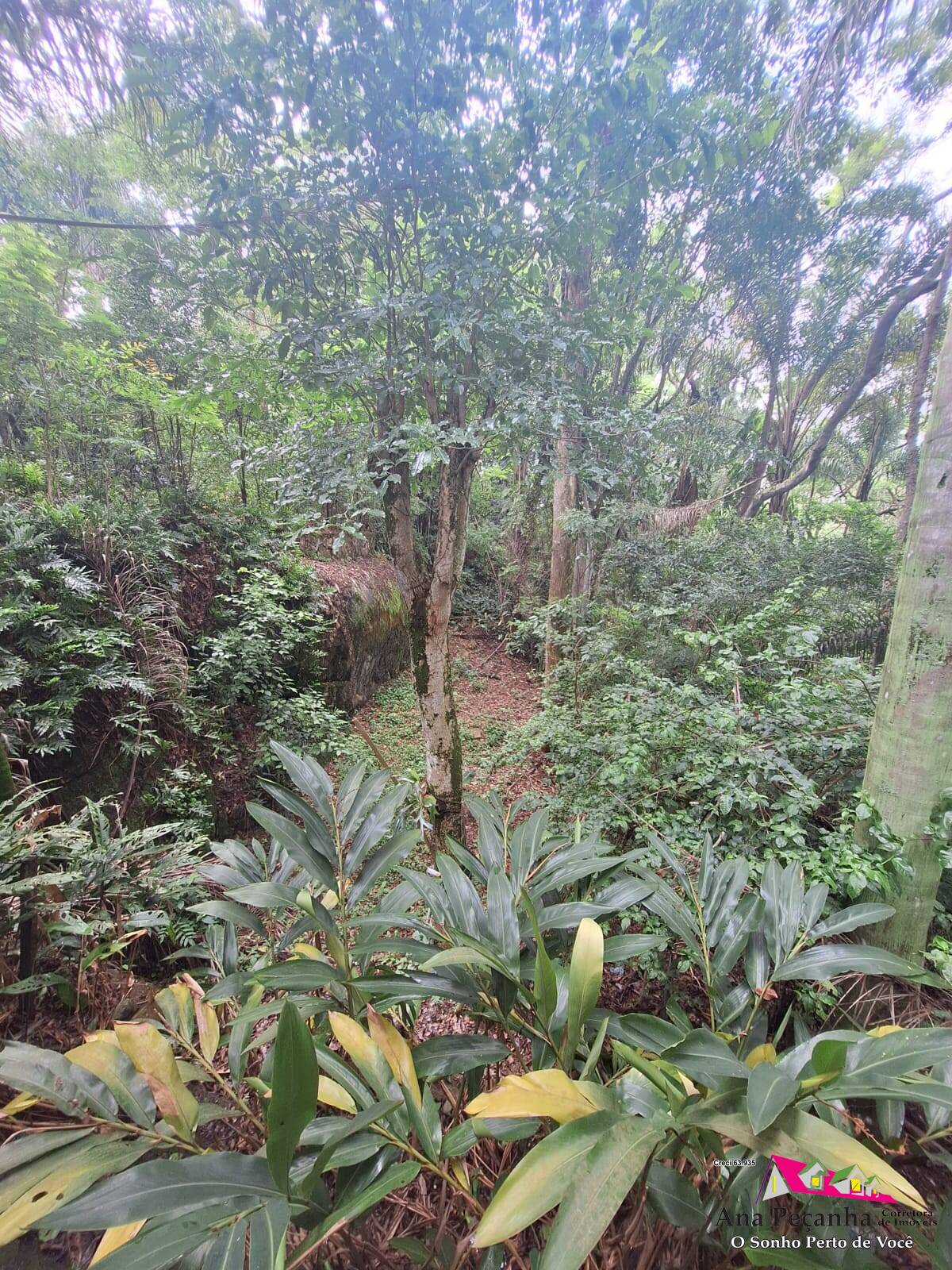 Sítio Morada das Águias